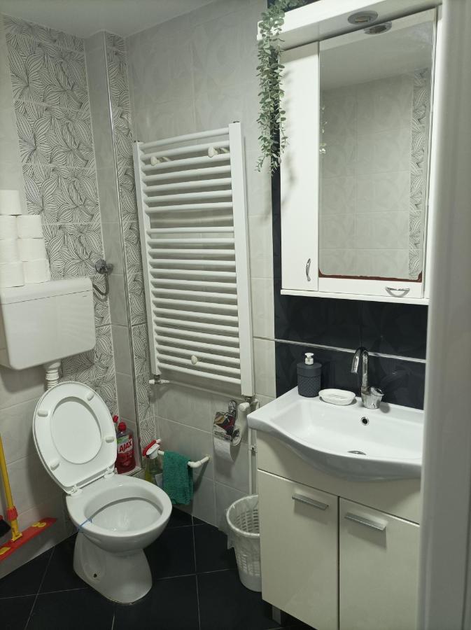 Ariana Apartman Kragujevac Zewnętrze zdjęcie